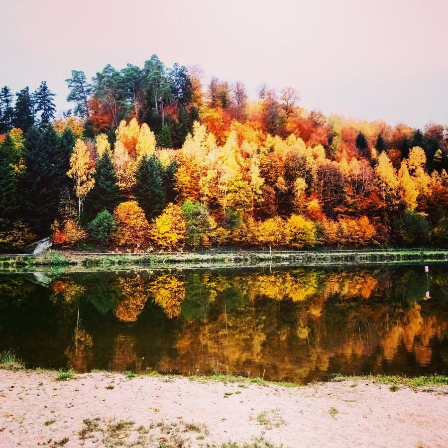 Au Coeur Des Sapins Apartament Abreschviller Zewnętrze zdjęcie