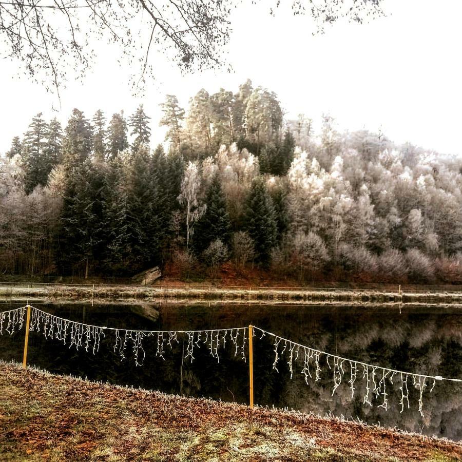 Au Coeur Des Sapins Apartament Abreschviller Zewnętrze zdjęcie